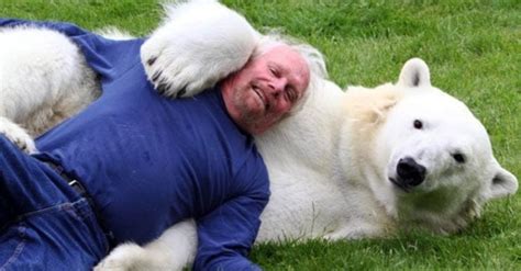 The Realities of Caring for a Polar Bear Companion