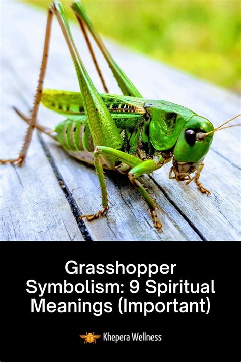 The Red Grasshopper: A Spiritual Symbol of Guidance