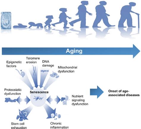 The Relationship Between Aging and Experiencing Dreams Depicting Light-Colored Strands Emerging from Edible Items