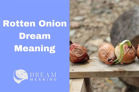 The Relationship Between Dreams and Subconscious Messages: Exploring the Significance of a Rotten Onion