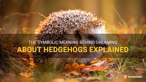 The Relationship Between Hedgehogs and Defensive Symbolism in Dream Symbolism