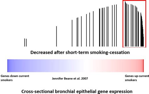 The Relationship Between Nasal-Related Dreams and Emotional Expression