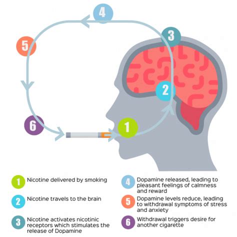 The Relationship between Smoking and Stress in Dream Analysis