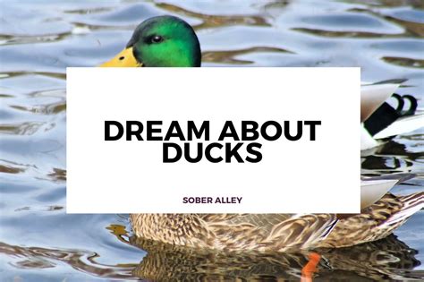 The Remarkable Significance of Dreaming about Minuscule Ducks