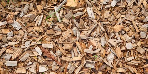 The Restorative Benefits of Surrounded by Wood Chips