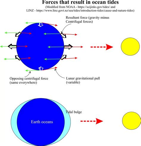 The Reverence for Tidal Forces: Mythology and Traditions