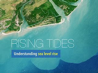 The Rising Tide: Understanding the Scope of the Problem