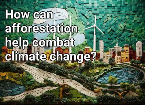 The Role of Afforestation in Combating Climate Change