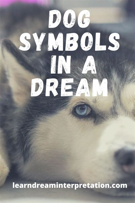 The Role of Canines in Dream Symbolism