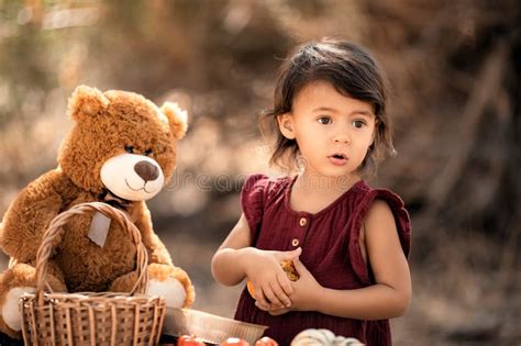 The Role of Childhood Memories: How Teddy Bears Contribute to Dreamscapes