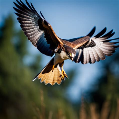 The Role of Enormous Hawks in Ecosystems: Dominant Predators and Their Influence