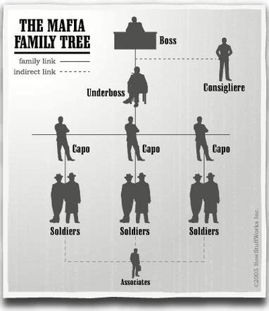 The Role of Gangs in Society