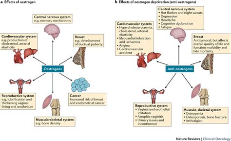 The Role of Hormonal Changes in Dream-Related Breast Discomfort