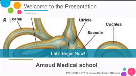 The Role of Inner Ear in Can Motion Sickness