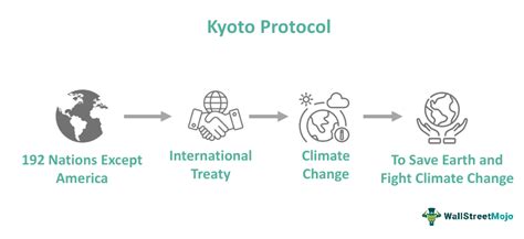 The Role of International Protocols