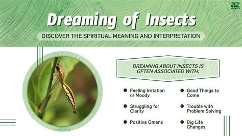 The Role of Personal Experiences in Shaping the Significance of Minuscule Insects within Dreams