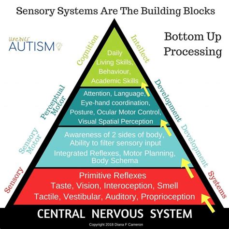 The Role of Sensory Stimulation: How the Visual and Auditory Aspects Add to the Allure