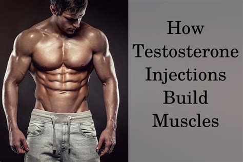 The Role of Testosterone in Building a Trim and Toned Body