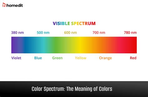 The Role of Yellow in Understanding the Color Spectrum of Emesis