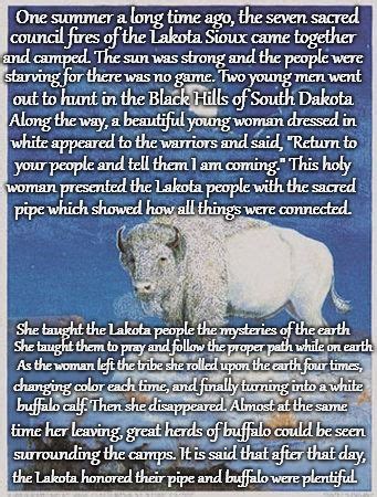 The Sacred White Buffalo in Native American Culture