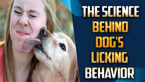 The Science Behind Canine Behavior