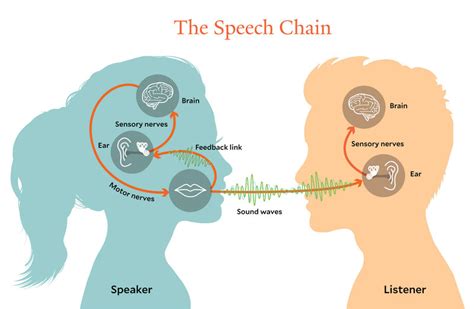 The Science Behind Deciphering the Language of Your Mind