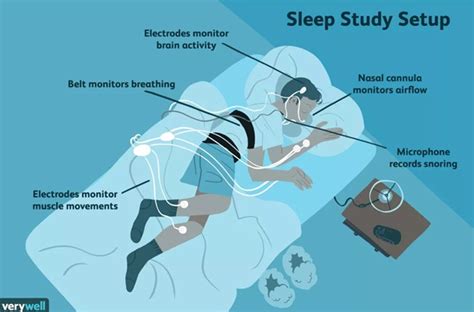 The Science Behind Dream Formation: Delving into the Brain's Role in Creating Diverse Visual Experiences