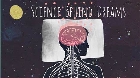 The Science Behind Dreaming: Understanding the Brain's Role