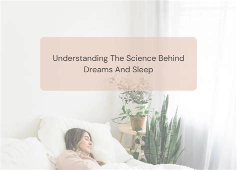 The Science Behind Dreams and Sleep