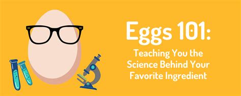 The Science Behind Egg Perfection