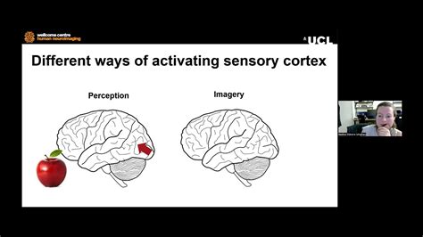 The Science Behind Extraordinary Abilities: Distinguishing Reality from Imagination