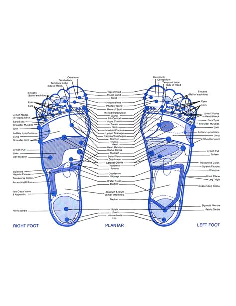 The Science Behind Foot Massage