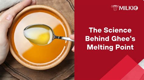 The Science Behind Ghee: Understanding the Chemical Process