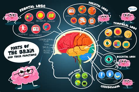 The Science Behind Imagination: Understanding the Brain's Role