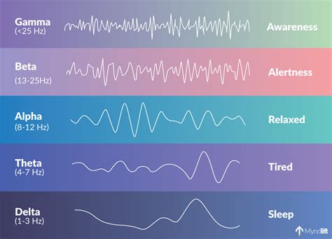 The Science Behind It: How Brain Waves Interact with Harmonic Tones in Sleep