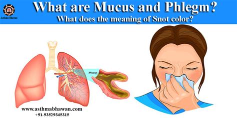 The Science Behind Mucus: Why Does It Come Out of the Nose?