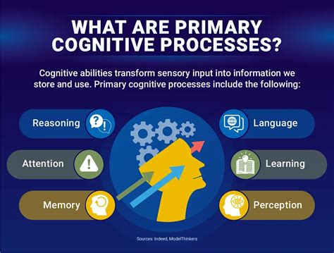 The Science Behind Play: Enhancing Cognitive Abilities