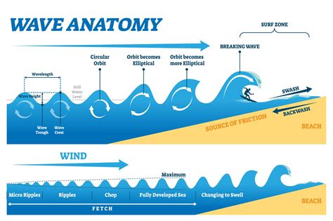 The Science Behind Sand Waves: A Phenomenon Worth Exploring