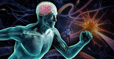 The Science Behind Sport Dreaming: Unlocking Your Cognitive and Physical Capacities