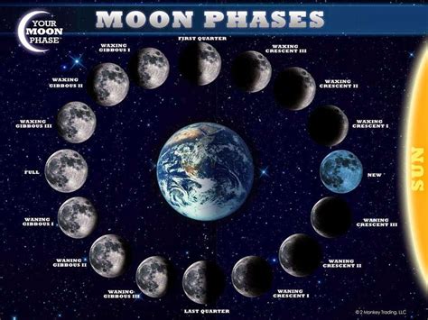 The Science Behind Super Moons: Understanding the Mystical Attraction