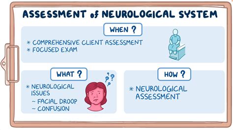 The Science Behind the Bond: Neurological Impacts of Nursing on Mother and Infant