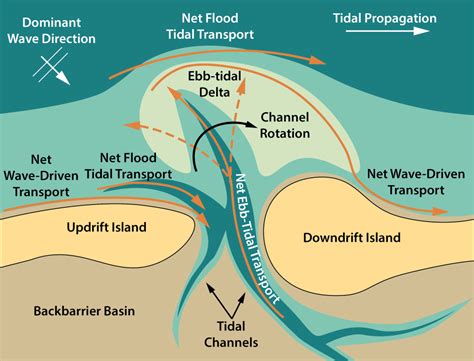 The Science Behind the Ebb and Flow of Tides