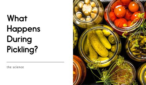 The Science Behind the Pickling Process