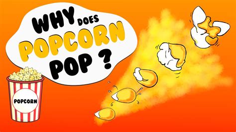 The Science Behind the Popping: How Does Popcorn Really Work?