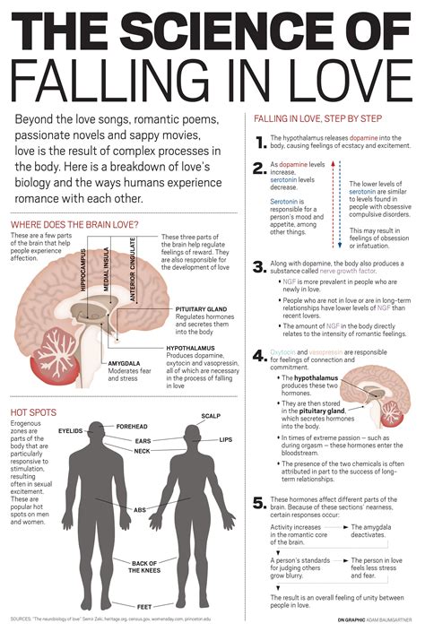 The Science Behind the Yearning: How Our Brains React to Physical Affection