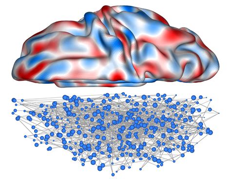 The Science behind Imagination: How the Brain Shapes Our Vision