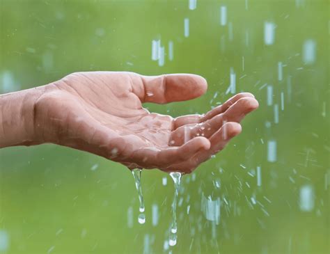 The Science behind Rainwater Dreams: Exploring their Significance