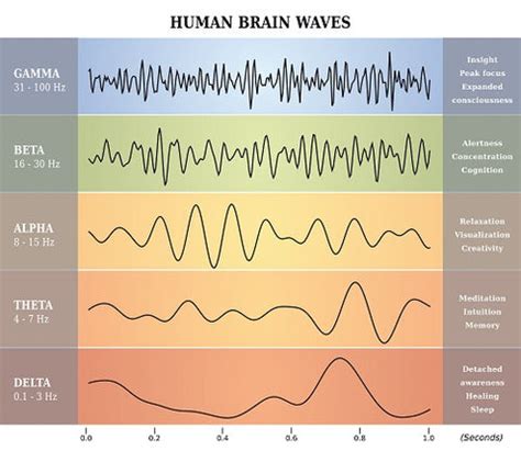 The Science behind Shared Dreaming: Brainwaves and Synchronicity