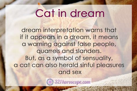 The Science of Dream Interpretation: Decoding Symbols in a Cat's Troubling Dreams