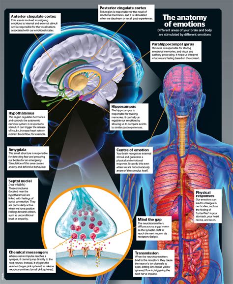 The Science of Emotional Proximity: The Influence of Human Bonds on Our Dream Experiences